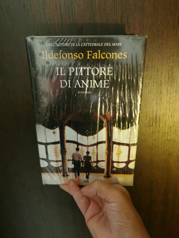 Libro il Pittore di anime