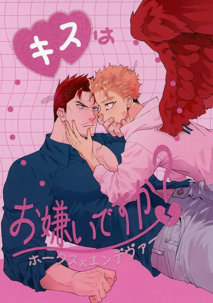 Hawks & Endeavor My Hero Academia Doujinshi BL A5 44p da donna [età 13+]