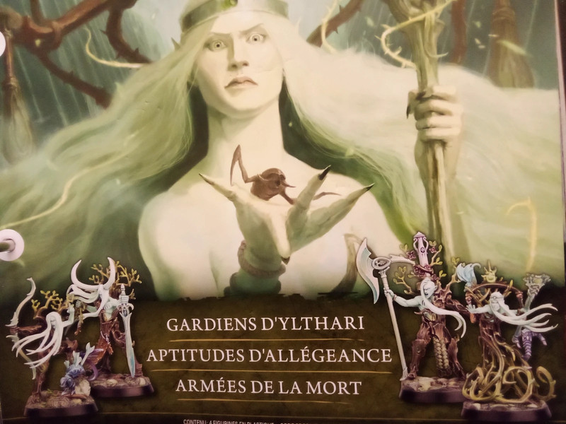 Gardiens d'Ylthari - Stormbringer 37