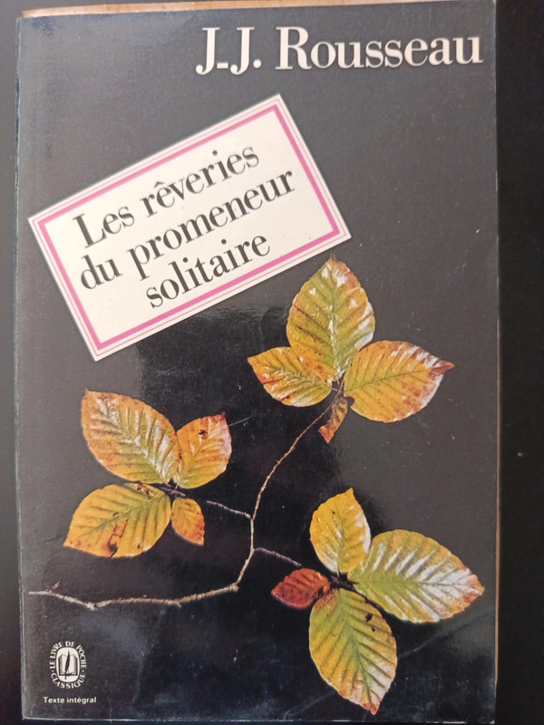 Les rêveries solitaires