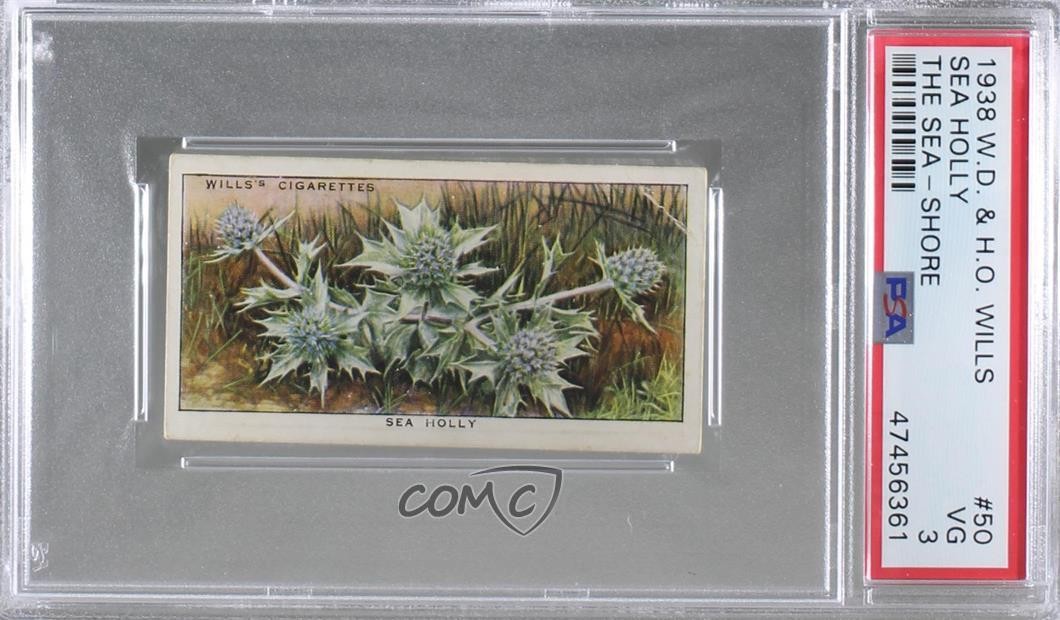 1938 Wills The Sea-Shore Tobacco Sea Holly #50 PSA 3 6z2