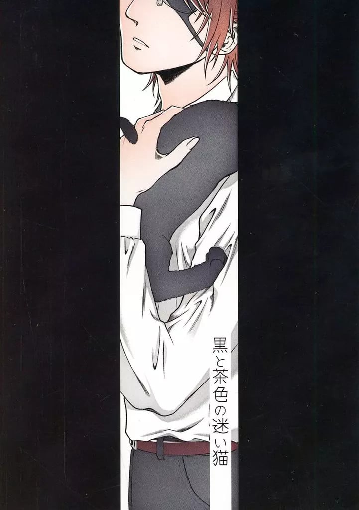 Attack on Titan Doujinshi Nero/Marrone A5 76p per Donna 14Y+ GIAPPONE