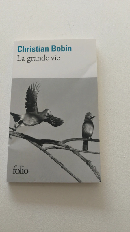 Livre la grande vie