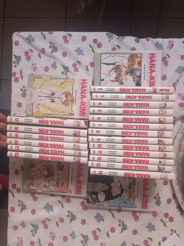 Hana-kimi serie completa