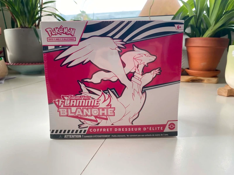 ETB Pokémon Flamme Blanche EV10.5