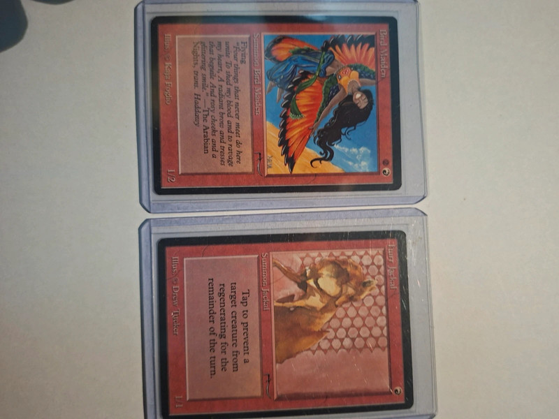 Lotto Arabian nights