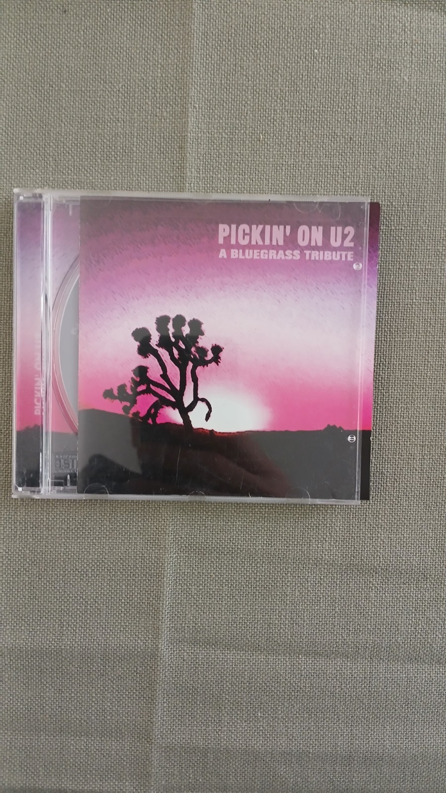 Pickin' on U2 a Bluegrass Tribute Music CD Album