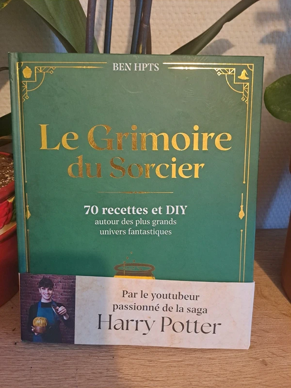 Le Grimoire du Sorcier Harry Potter