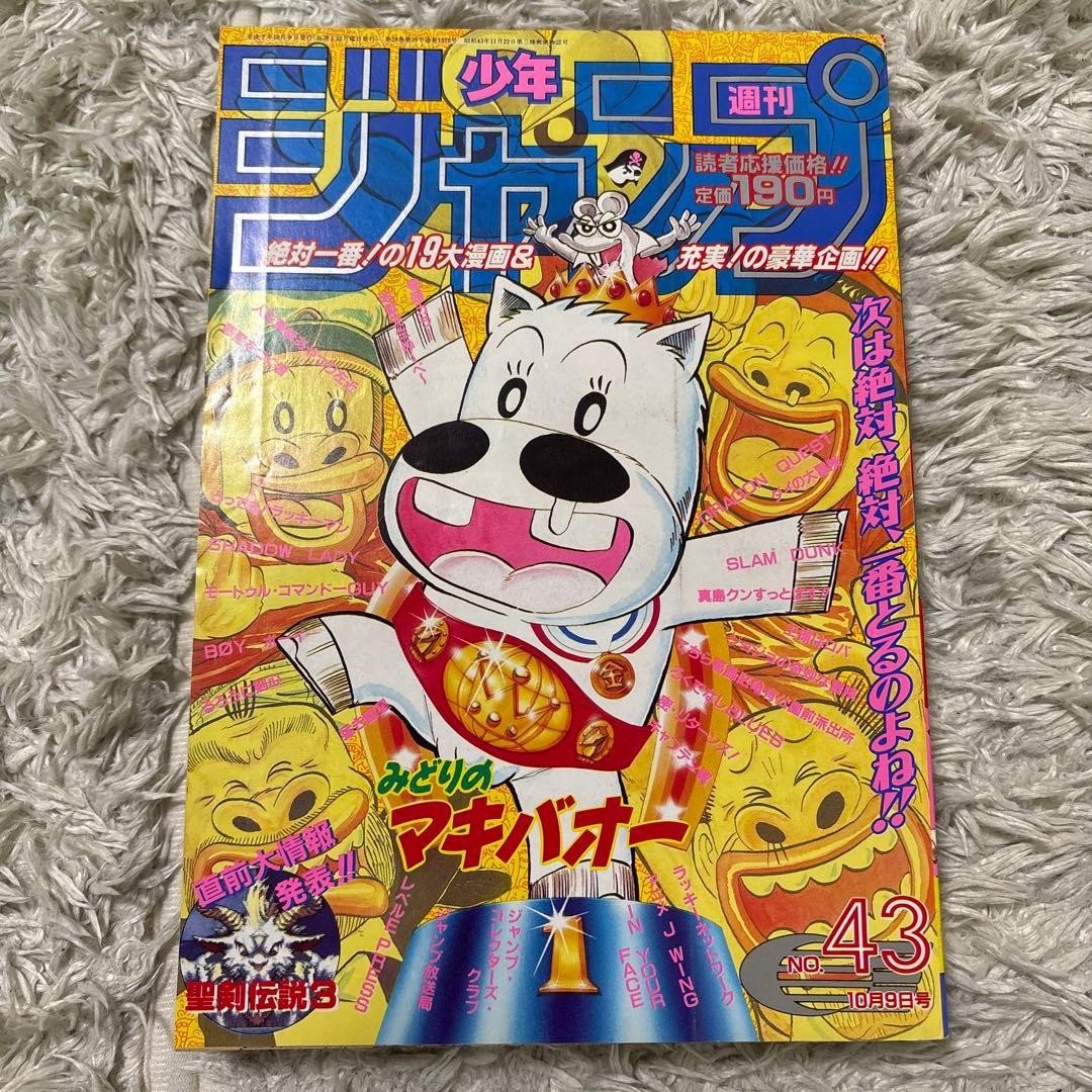 Salto settimanale Shonen n. 43 1995