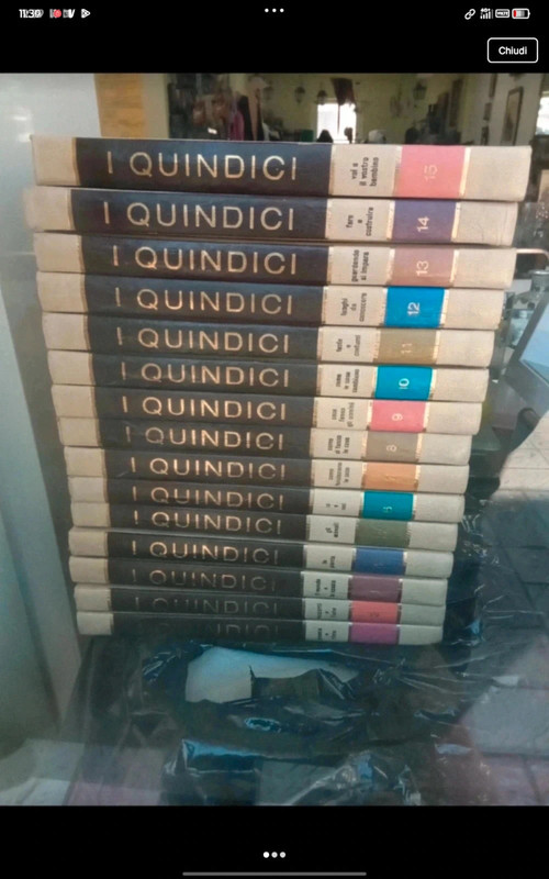 I quindici - i libri del come e del perché