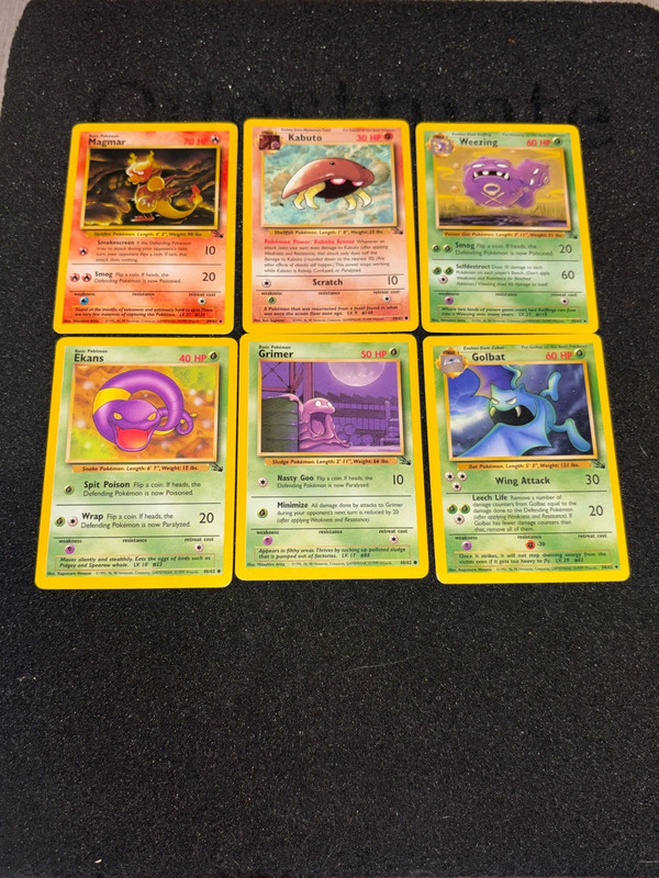 fossil NM/LP