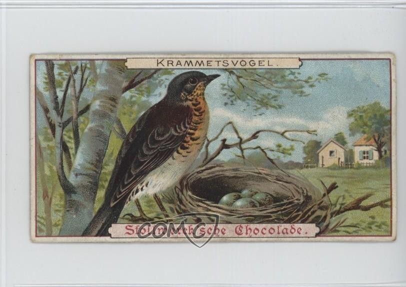 Album cioccolatini 1899 Stollwerck 3 edizione alimentare Krammetsvogel #92-3 15ia