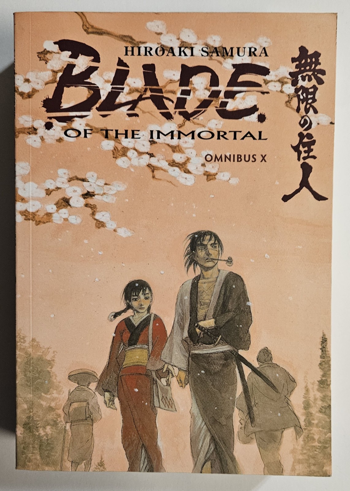 BLADE OF THE IMMORTAL VOL X ENGLISH OMNIBUS MANGA DARK HORSE 