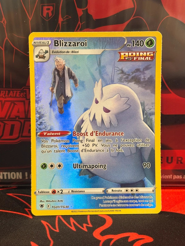 Blizzaroi TG01/TG30