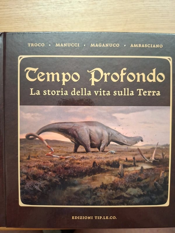 Tempo profondo