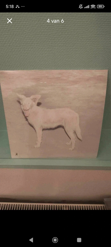 Ão lp -