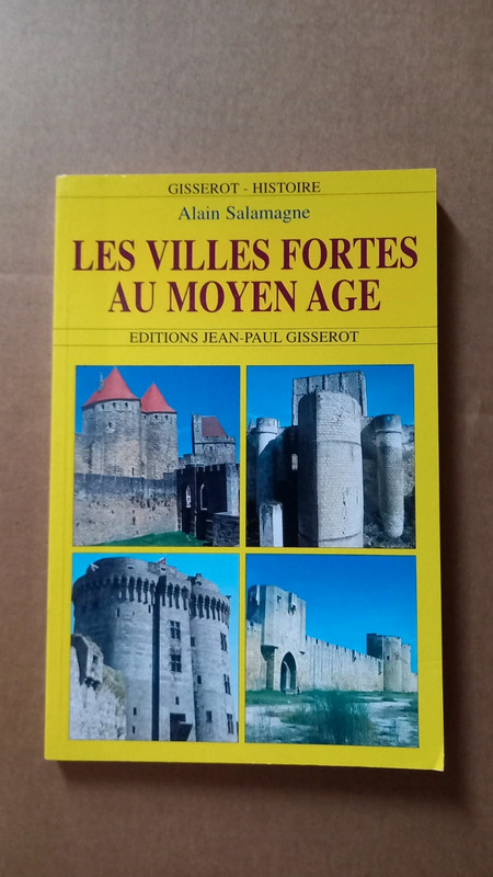 Les villes fortes au Moyen-âge. Alain Salamagne