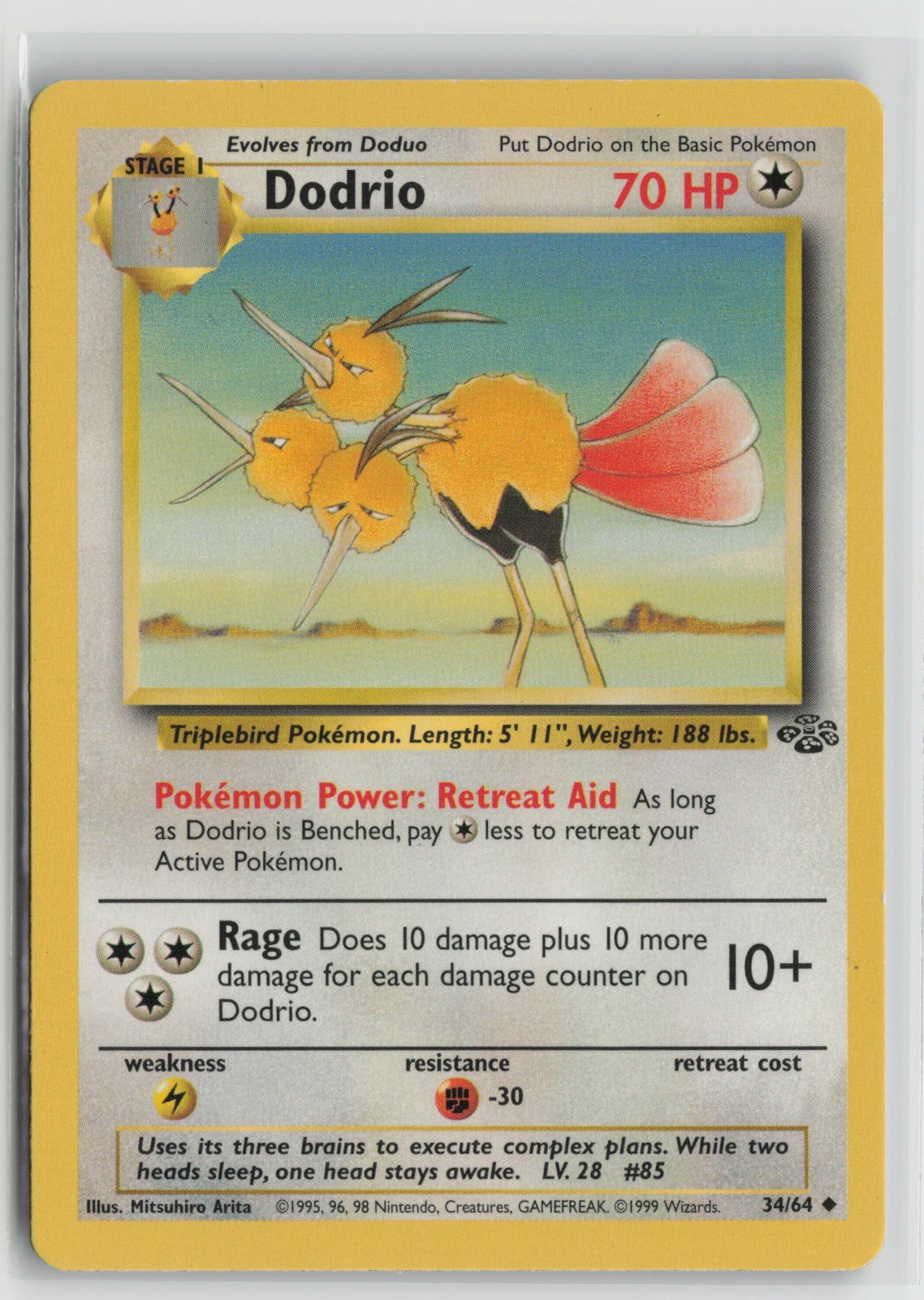 Dodrio Uncommon Unlimited JU 34/64 MP