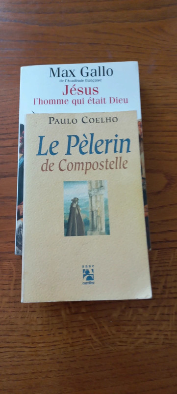 Lot de 2 livres Max Gallo et Paulo Coelho