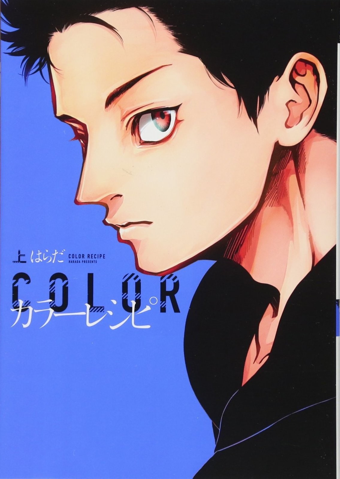RICETTA COLORI Vol.1 JPN fumetto manga libro Harada Boys Love F/S con tracciamento # Giappone