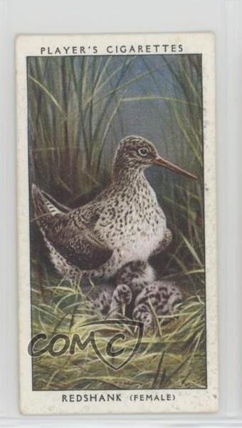 1937 Player's Birds & Their Young Tobacco Redshank #31 7kl