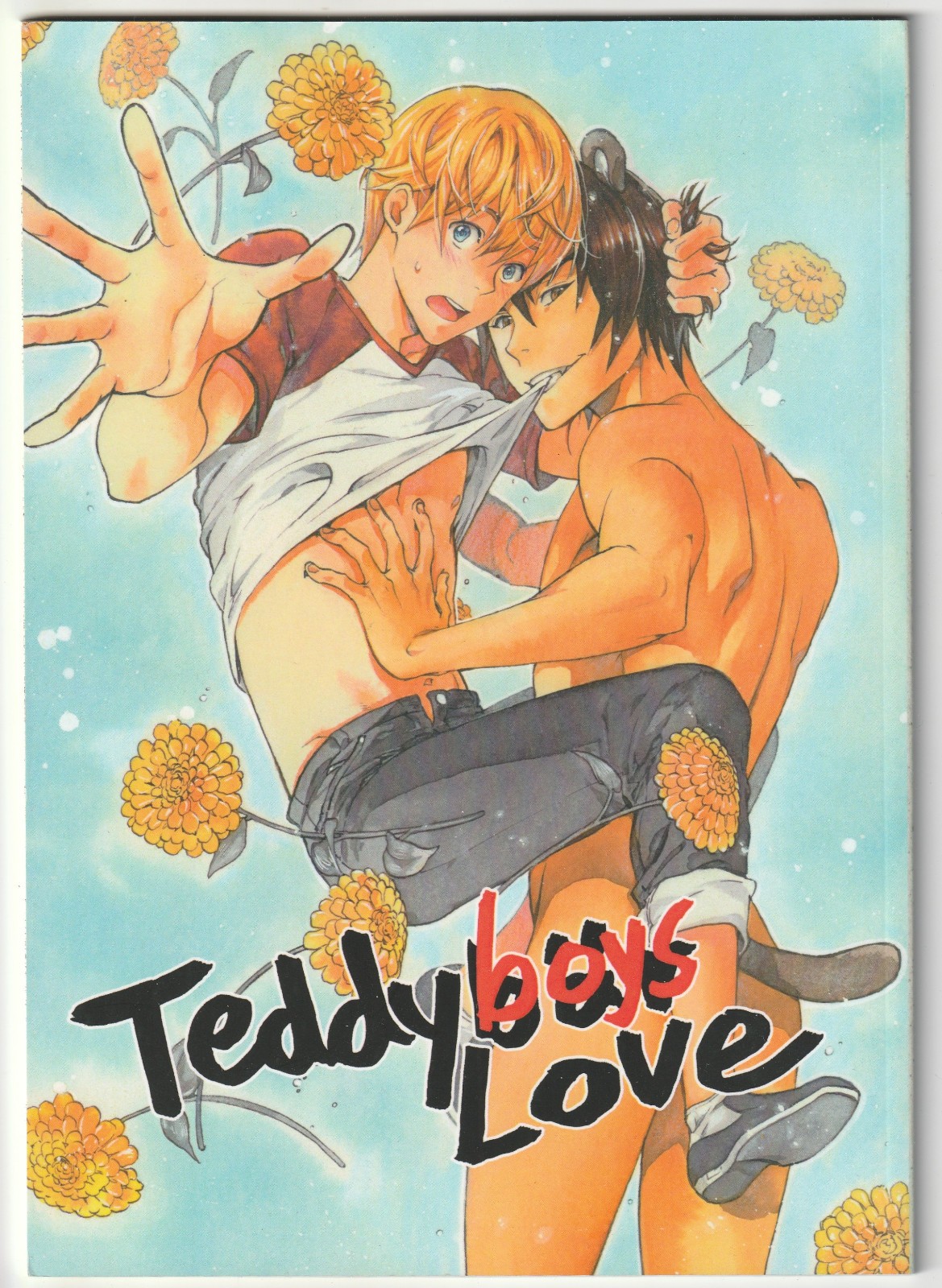 ✪ TEDDYBOYS LOVE #1, FUMETTO MANGA HUGI NUOVO TOP Z0-1