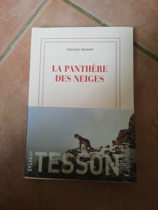 La panthère des neiges