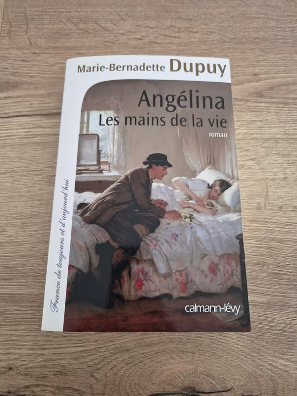 Livre "Angelina Les mains de la vie"