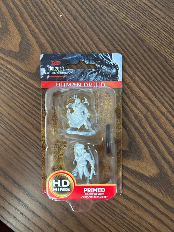 D&D miniature human druid