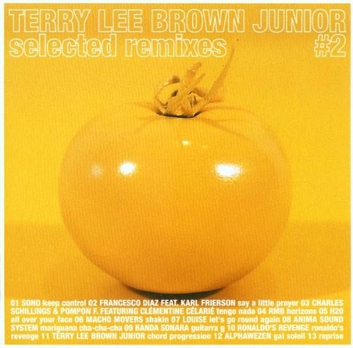 TERRY LEE BROWN - Selected Remixes 2 - CD - Import - **Excellent Condition**