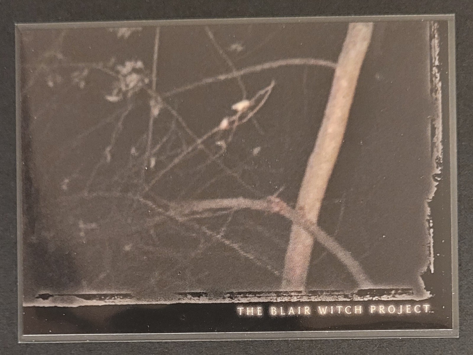 1999 Topps The Blair Witch Project Movie Trading Card #44