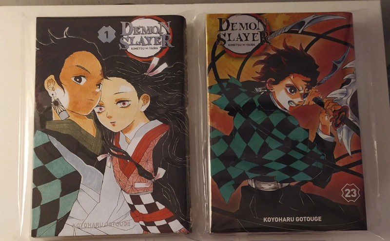 Variant francesi demon Slayer volume 1 e volume 23.