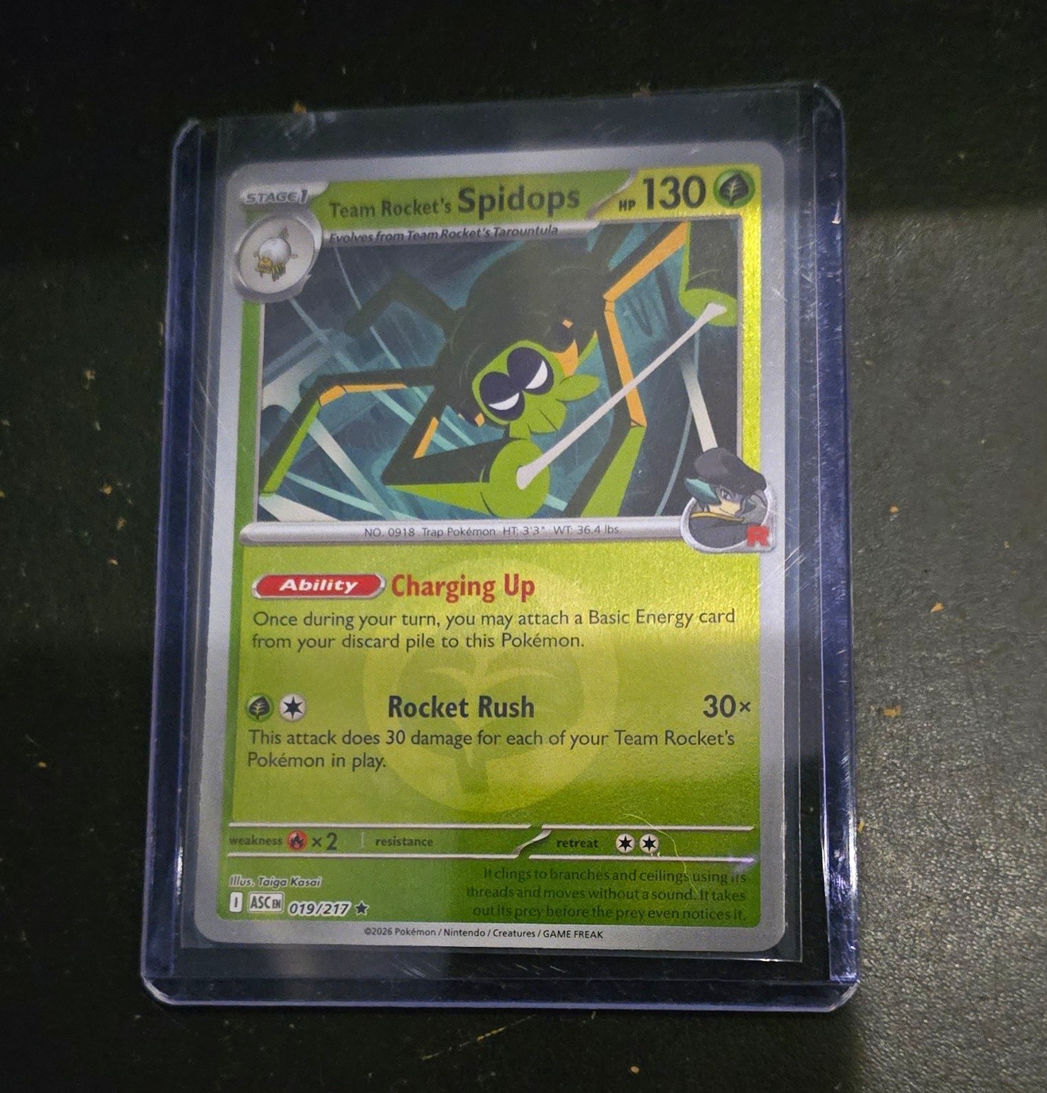Nintendo Pokemon TCG Team Rocket's Spidops 019/217 130HP EN Raro Taiga Kasai