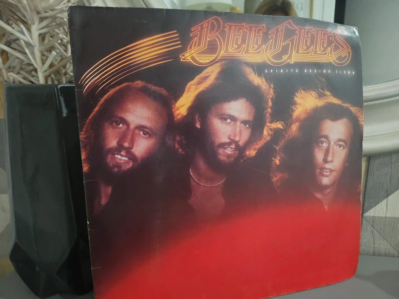Vinil Bee Gees