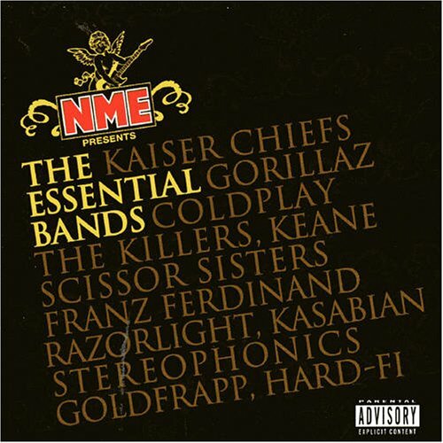Various Artists - NME presents The Essential Bands CD (2005) Audio Amazing Value