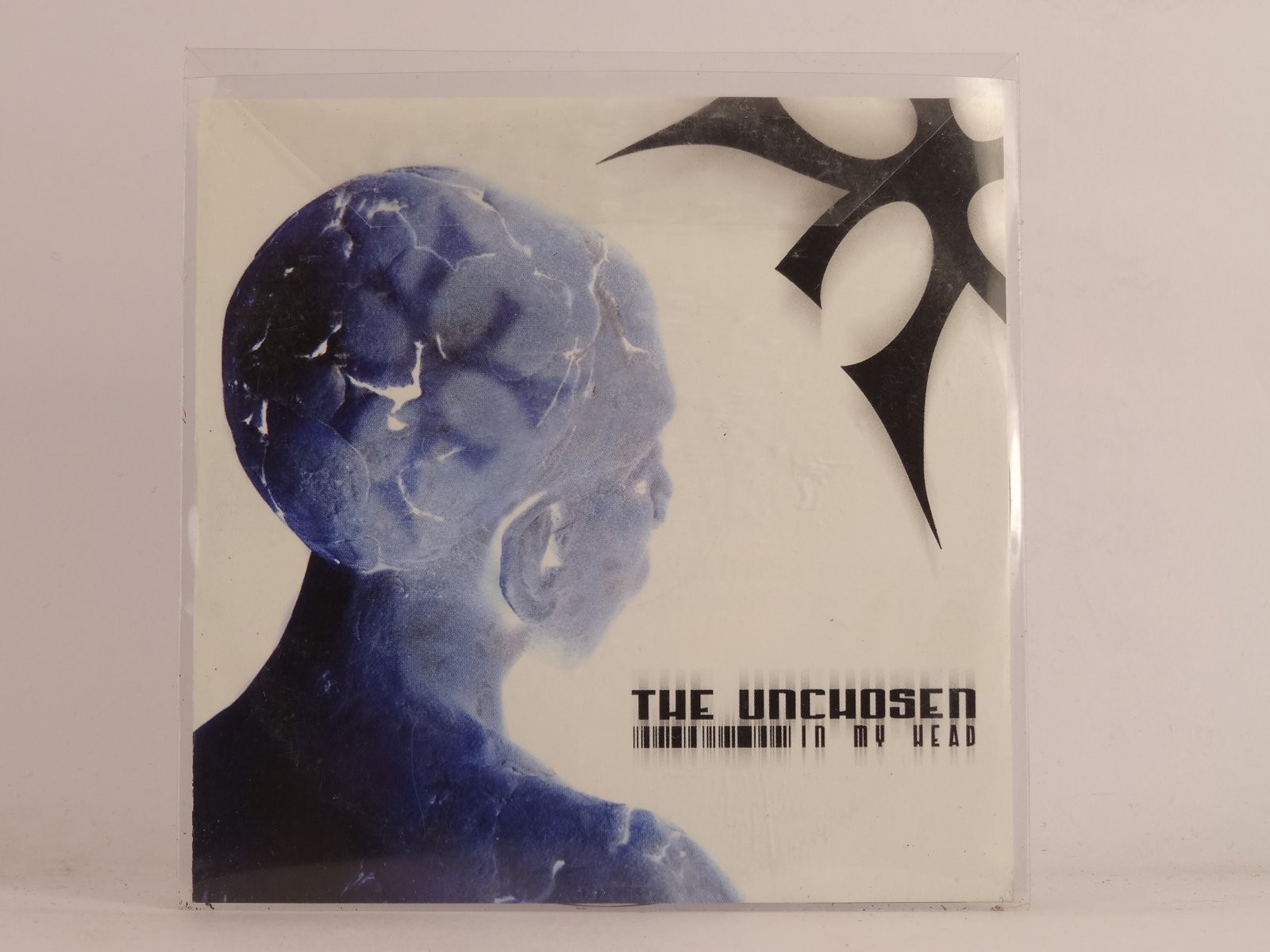 THE UNCHOSEN IN MY HEAD (549) 13 Track Promo CD Album including Picture Sleeve 