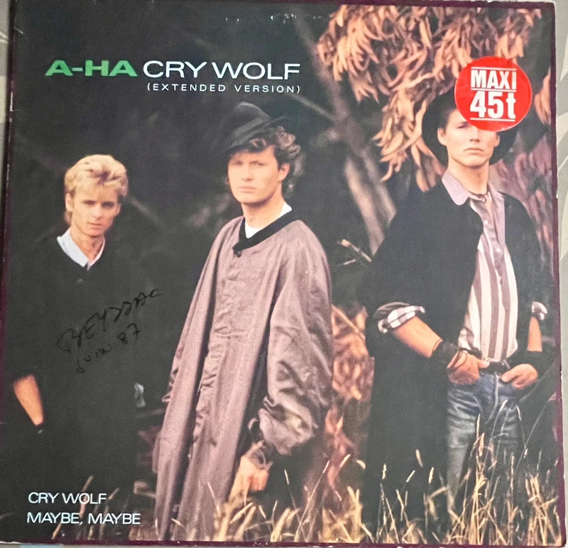 Disque vinyle Maxi 45t - A-ha - Cry Wolf