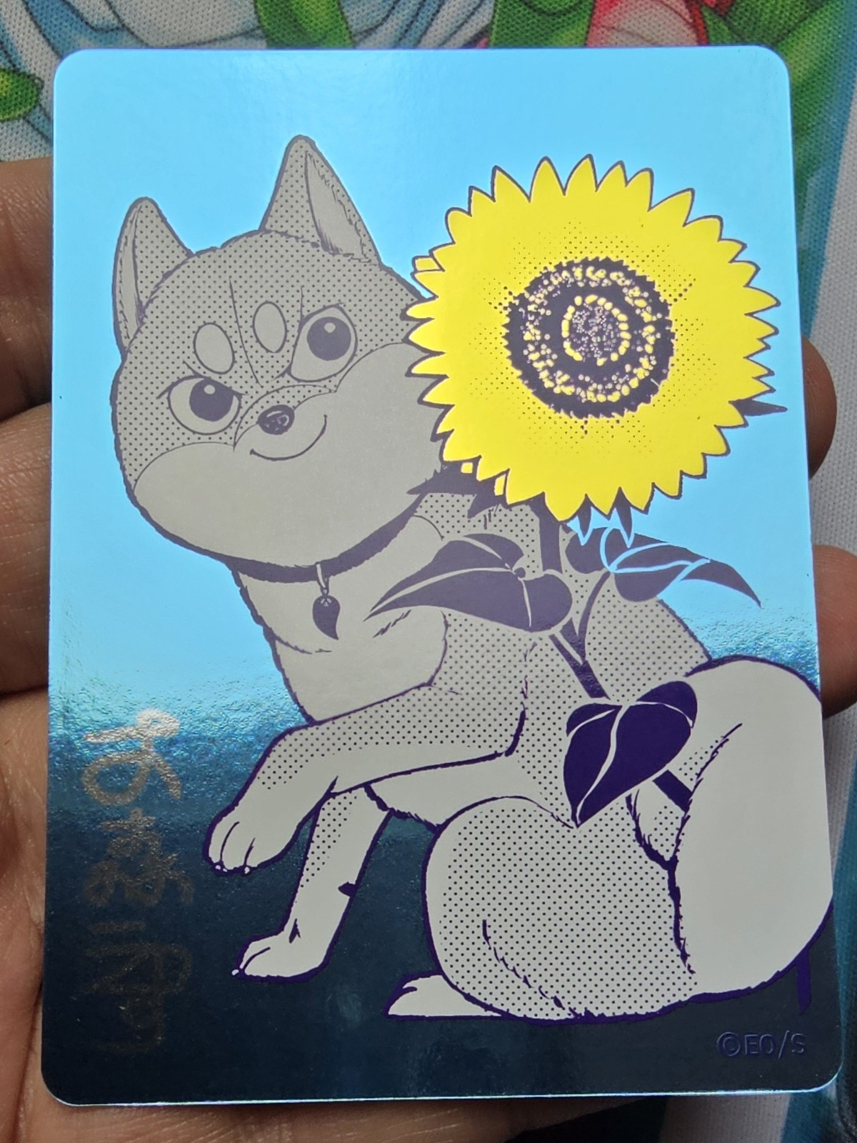Shueisha Official Natsucomi 2026 Limited Promo Card – “Shiba Inu Rooms”
