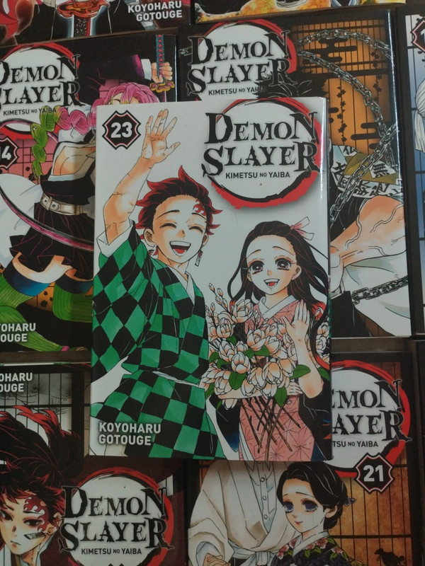 Demon Slayer t23