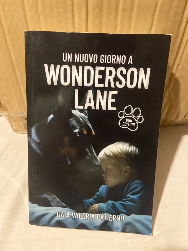 Un nuovo giorno a Wonderson Lane