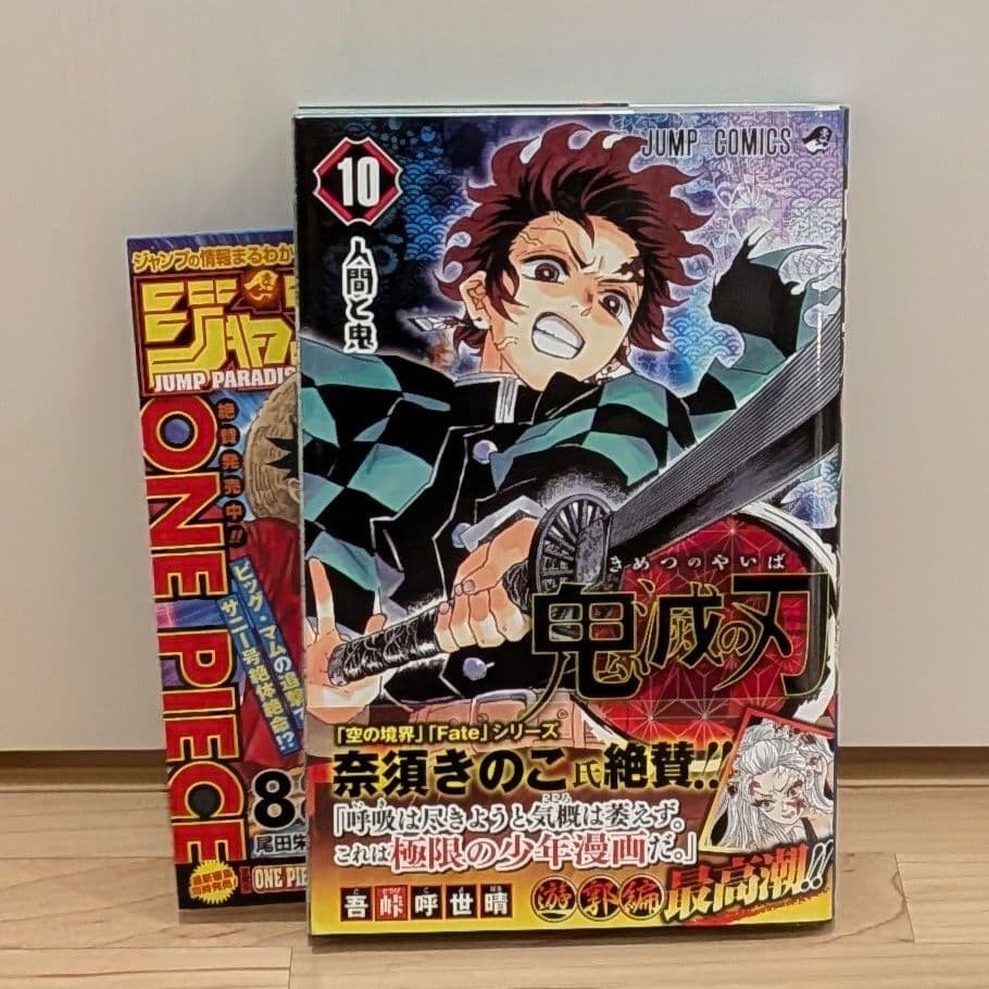 Demon Slayer Kimetsu Vol 10 1a Edizione Stampa Volantino Manga Giapponese Fumetto