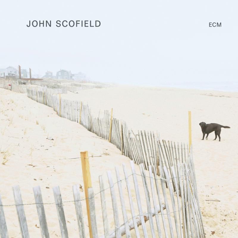 John Scofield John Scofield (Vinyl LP) 12" Album