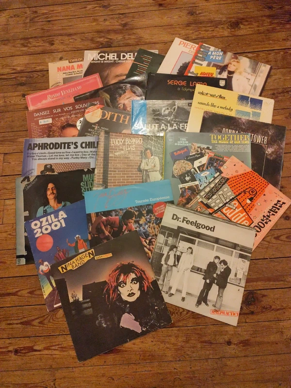 Vinyles 33t. Lot de 22 disques