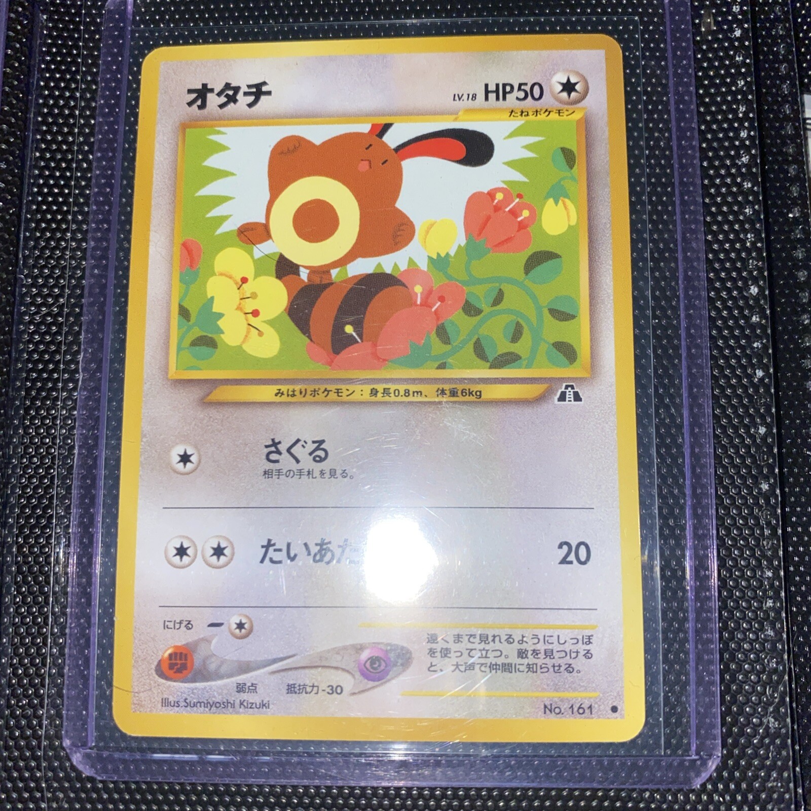 POKEMON Sentret Neo Revelation Pokemon giapponese venditore USA TCG CARD 