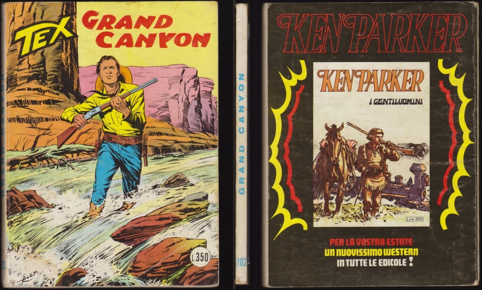 TEX 202 GRAND CANYON - AGOSTO 8/1977
