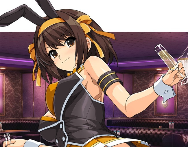 La malinconia di Haruhi Suzumiya B5/28P Illustrazione Doujinshi di haruhisky