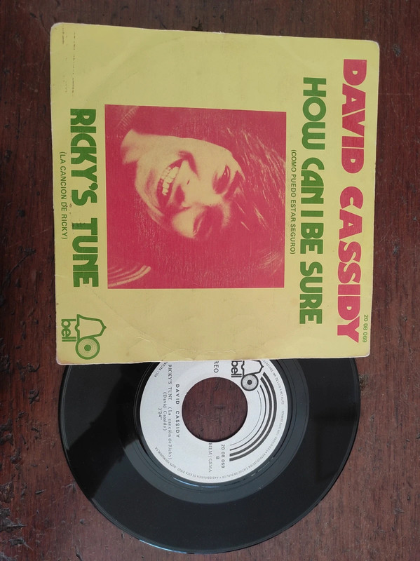 Disco de Vinil David Cassidy