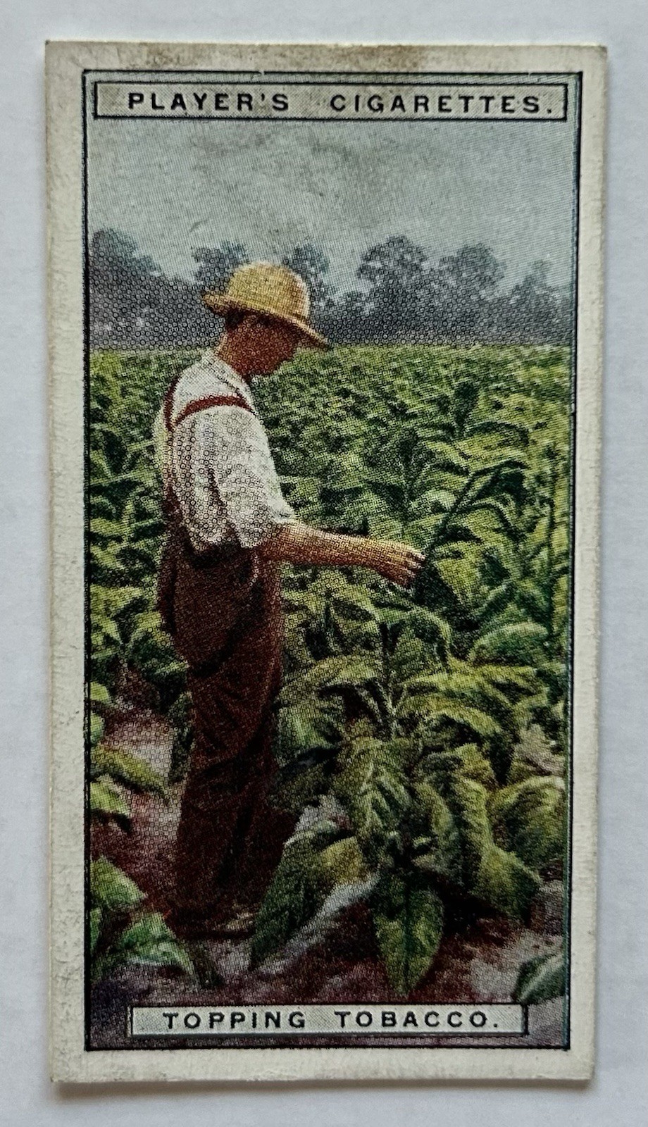 Player’s Tobacco Card Topping Tobacco Farmer Field Work Scene #6 CC5