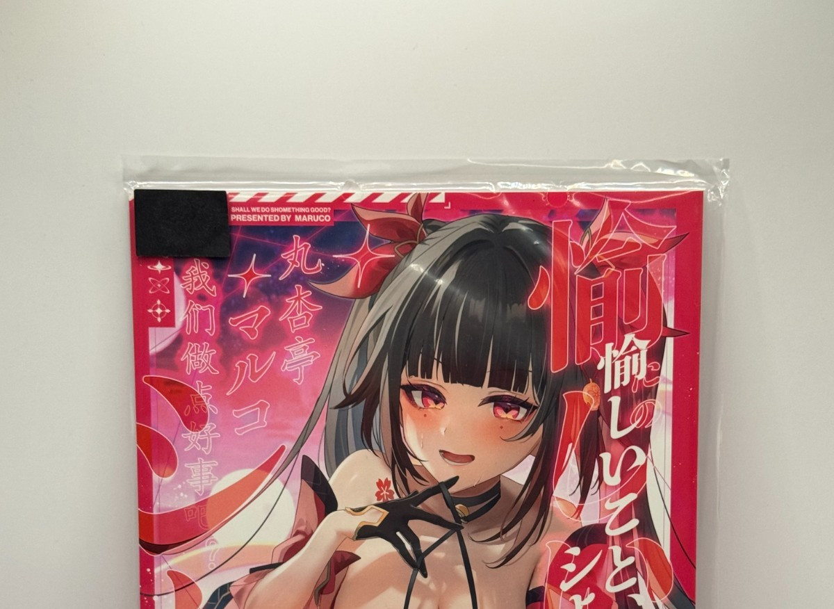 Honkai: Star Rail Doujinshi / Illustrazione Giappone