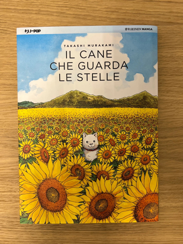 Il cane che guarda le stelle